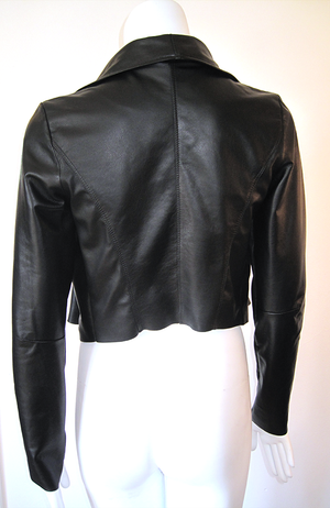 the Motorcycle Jacket